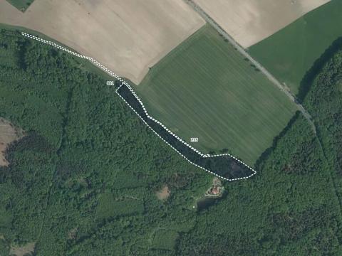 Prodej lesa, Radhošť, 14611 m2