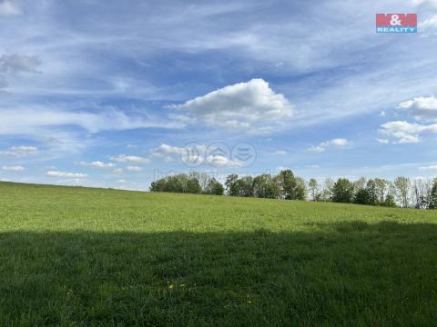 Prodej pole, Jestřabí v Krkonoších, 6070 m2
