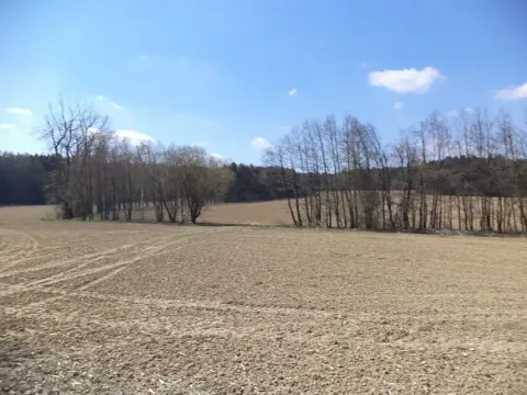 Dražba louky, Pec, 5703 m2