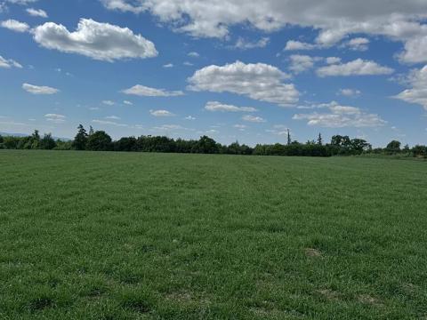 Prodej pozemku pro bydlení, Klimkovice, 2567 m2