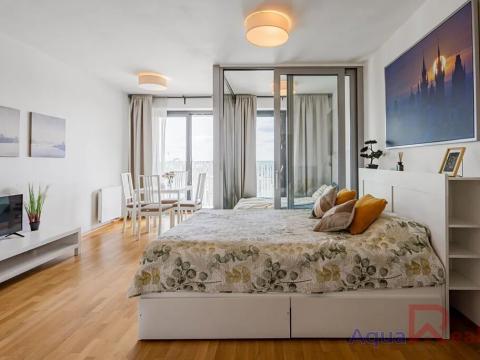 Prodej bytu 1+kk, Praha - Žižkov, Olšanská, 34 m2