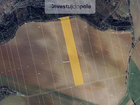 Prodej pole, Letovice - Slatinka, 10240 m2