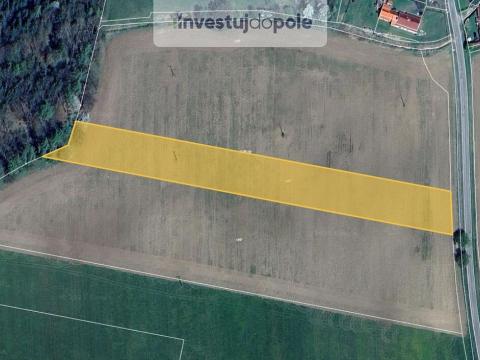 Prodej pole, Albrechtice nad Vltavou - Údraž, 10056 m2