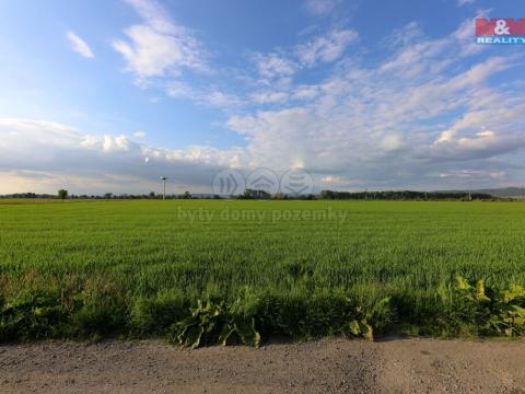 Prodej pozemku pro bydlení, Hlušovice, 5290 m2