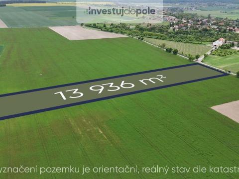 Prodej pole, Velký Borek - Skuhrov, 13936 m2