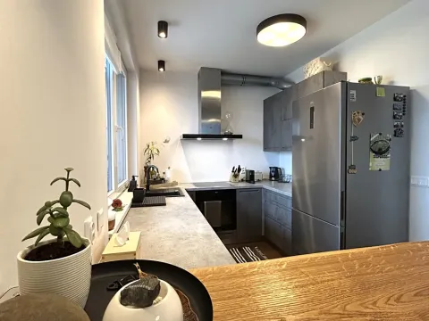 Pronájem bytu 2+kk, Praha - Vysočany, Svatošových, 60 m2