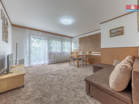 Prodej bytu 3+1, Vítkovice, 58 m2