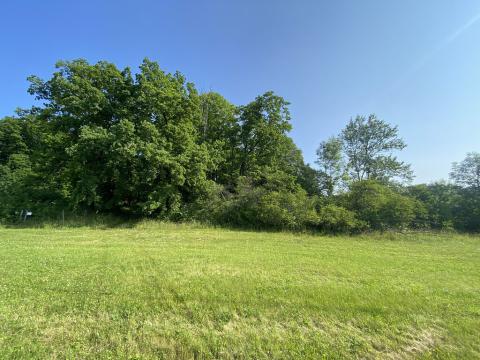 Prodej lesa, Roštění, 2228 m2