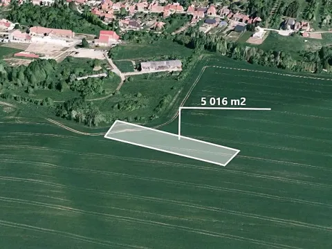 Prodej pole, Nedachlebice, 5016 m2