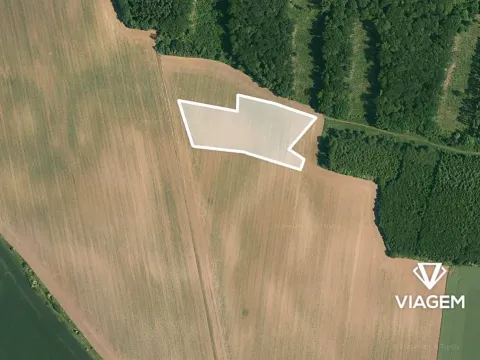 Prodej pole, Vinařice, 15763 m2