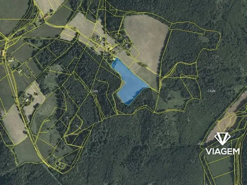 Prodej podílu zahrady, Cotkytle, 2934 m2