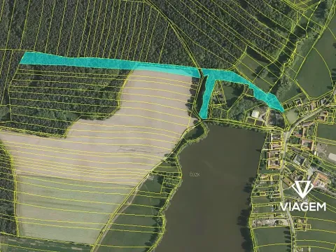 Prodej podílu lesa, Olešnice, 3009 m2