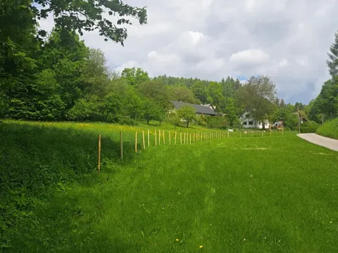 Prodej pole, Frýdštejn, 810 m2