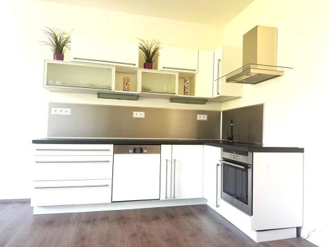 Pronájem bytu 3+kk, Praha - Nusle, U družstva Ideál, 65 m2