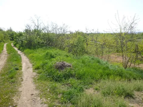 Dražba pole, Dolní Kounice, 1582 m2