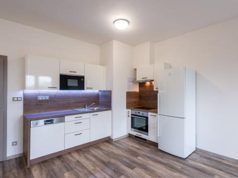Pronájem bytu 2+kk, Plzeň - Severní Předměstí, Bolevecká, 63 m2