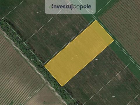 Prodej pole, Lednice, 1310 m2