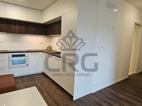 Pronájem bytu 2+kk, Brno - Veveří, Lidická, 54 m2