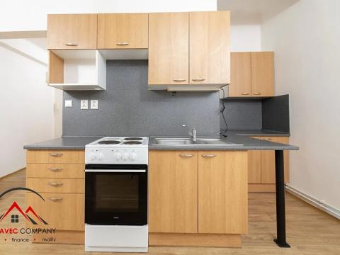 Pronájem bytu 1+1, Ostrava, Palackého, 42 m2