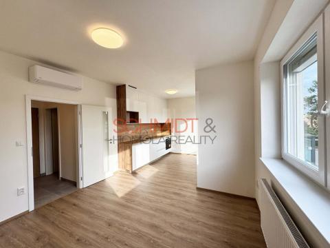 Pronájem bytu 1+kk, Hustopeče, Alejní, 30 m2