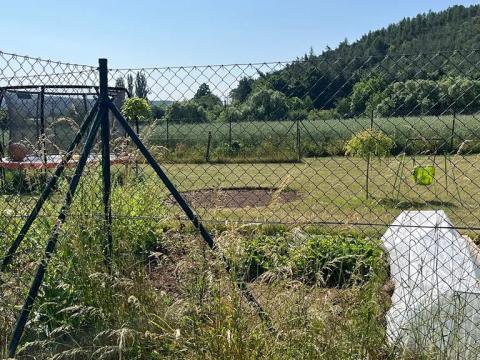 Pronájem zahrady, Česká, 500 m2
