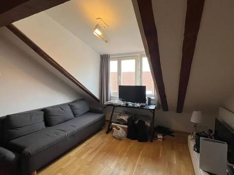 Pronájem bytu 3+kk, Praha - Vyšehrad, Neklanova, 55 m2