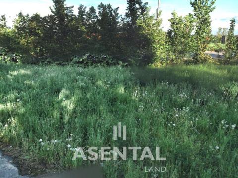 Prodej komerčního pozemku, Orlová - Poruba, U Haldy, 424 m2