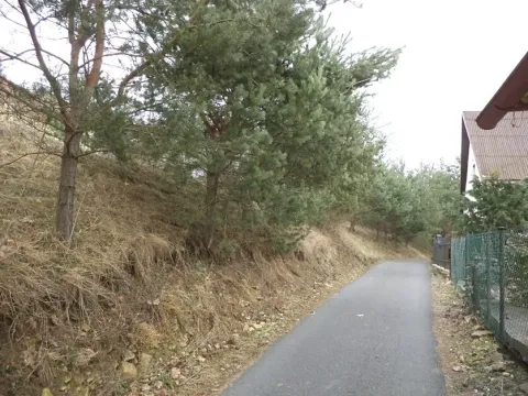 Dražba louky, Ptice, 3291 m2