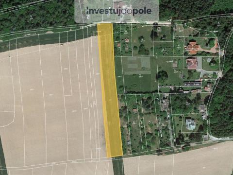 Prodej pole, Nové Město nad Metují, Ve Vilách, 2689 m2
