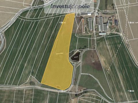 Prodej louky, Zvěrotice, 46522 m2