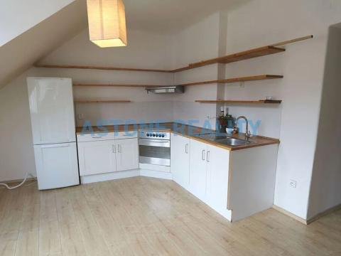 Pronájem bytu 1+kk, Praha - Břevnov, Hošťálkova, 54 m2