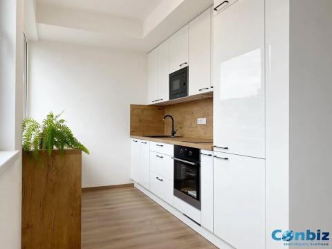 Pronájem bytu 1+kk, Praha - Hloubětín, Anny Čížkové, 32 m2