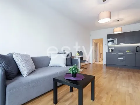 Pronájem bytu 1+kk, Praha - Žižkov, Olšanská, 35 m2
