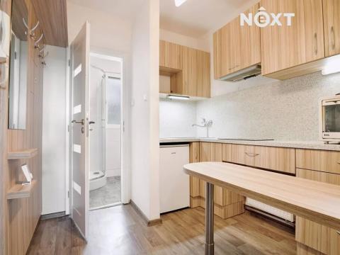 Pronájem bytu 1+kk, Žatec, Sládkova, 27 m2