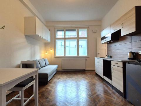 Pronájem bytu 1+kk, Praha - Libeň, V Holešovičkách, 20 m2