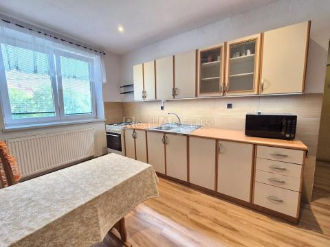 Pronájem bytu 1+1, Nový Jičín, Trlicova, 39 m2