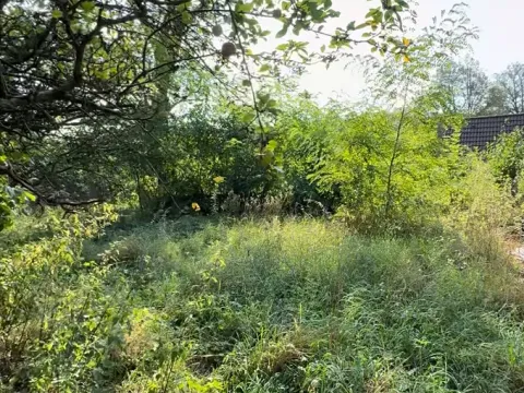 Dražba louky, Dubá, 453 m2