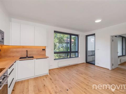 Pronájem bytu 2+kk, Praha - Nusle, Muzikova, 57 m2