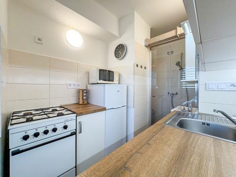 Prodej bytu 1+kk, Mladá Boleslav - Mladá Boleslav III, Jičínská, 38 m2