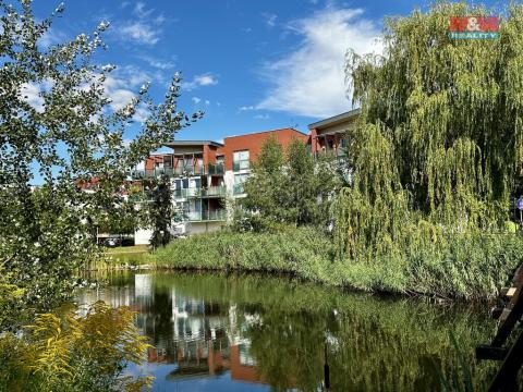 Pronájem bytu 1+kk, Hradec Králové - Nový Hradec Králové, Rybova, 39 m2