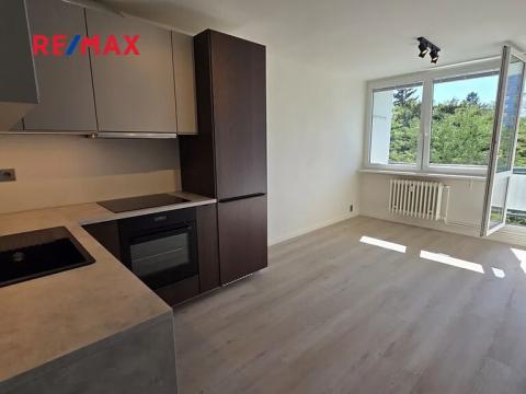 Pronájem bytu 2+kk, Praha - Karlín, Nekvasilova, 40 m2
