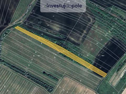 Prodej louky, Starovičky, 4020 m2
