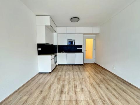 Pronájem bytu 1+kk, Brno, Spolková, 35 m2