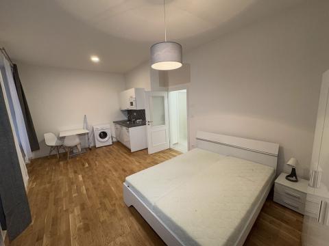 Prodej bytu 1+kk, Praha - Nové Město, Petrská, 34 m2