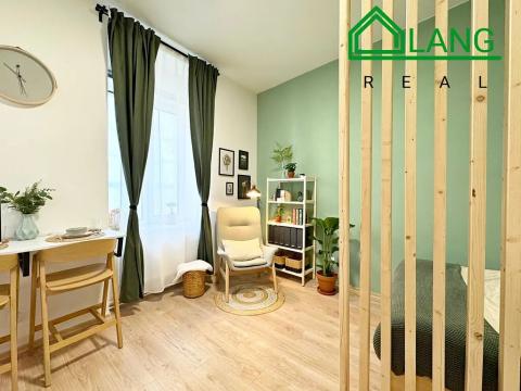 Pronájem bytu 1+kk, Brno, Koliště, 26 m2