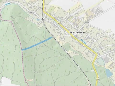 Prodej lesa, Bílá Třemešná, 7940 m2