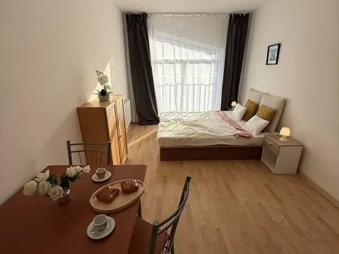 Pronájem bytu 1+kk, Plzeň, Nepomucká, 25 m2
