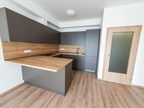 Pronájem bytu 1+kk, Brno, Plotní, 49 m2