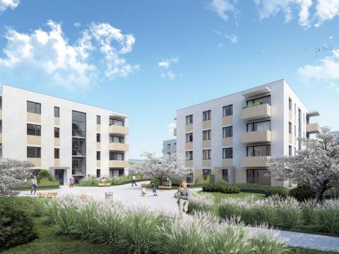 Prodej bytu 3+kk, Oslavany, Letkovská, 44 m2