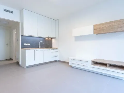 Pronájem bytu 1+kk, Praha - Košíře, Hlaváčkova, 25 m2